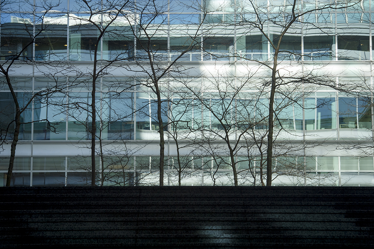 TORREN_140203_1_150-1200px