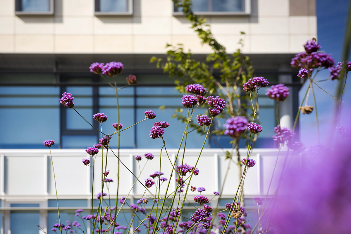 VAN DER TORREN FOTOGRAFIE | VORMGEVING | VIDEO