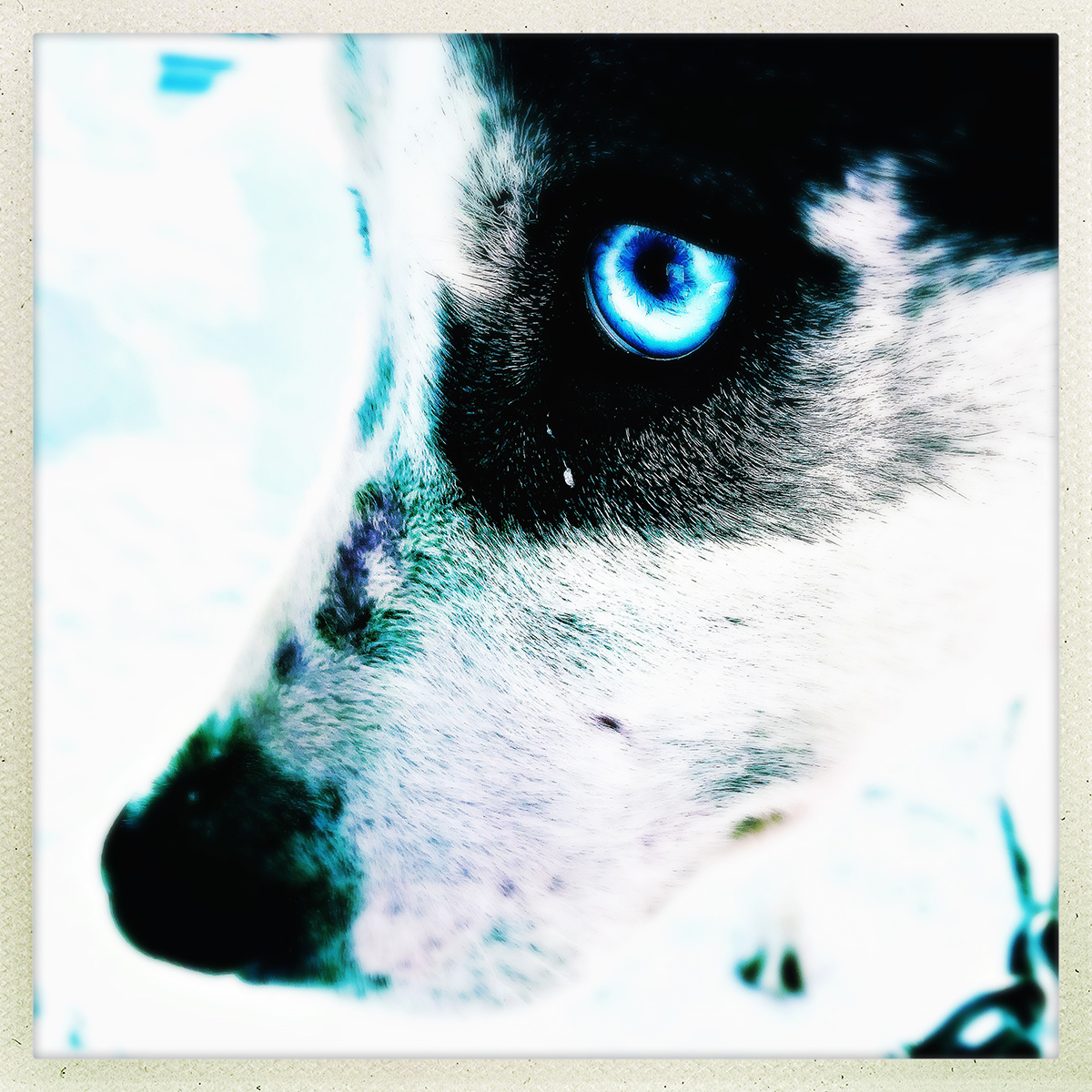 VDTORREN-instastyle 16-1200px