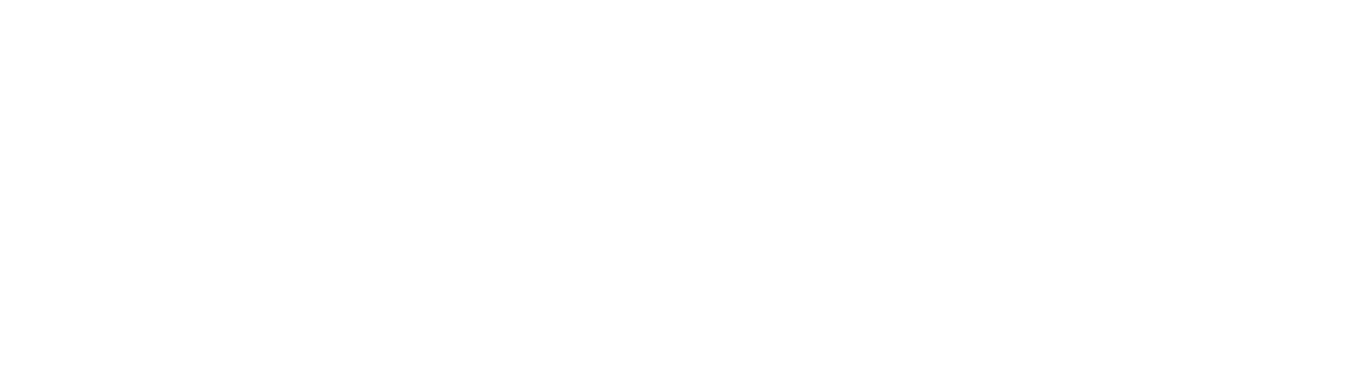 vandertorren_logo_2023 wit